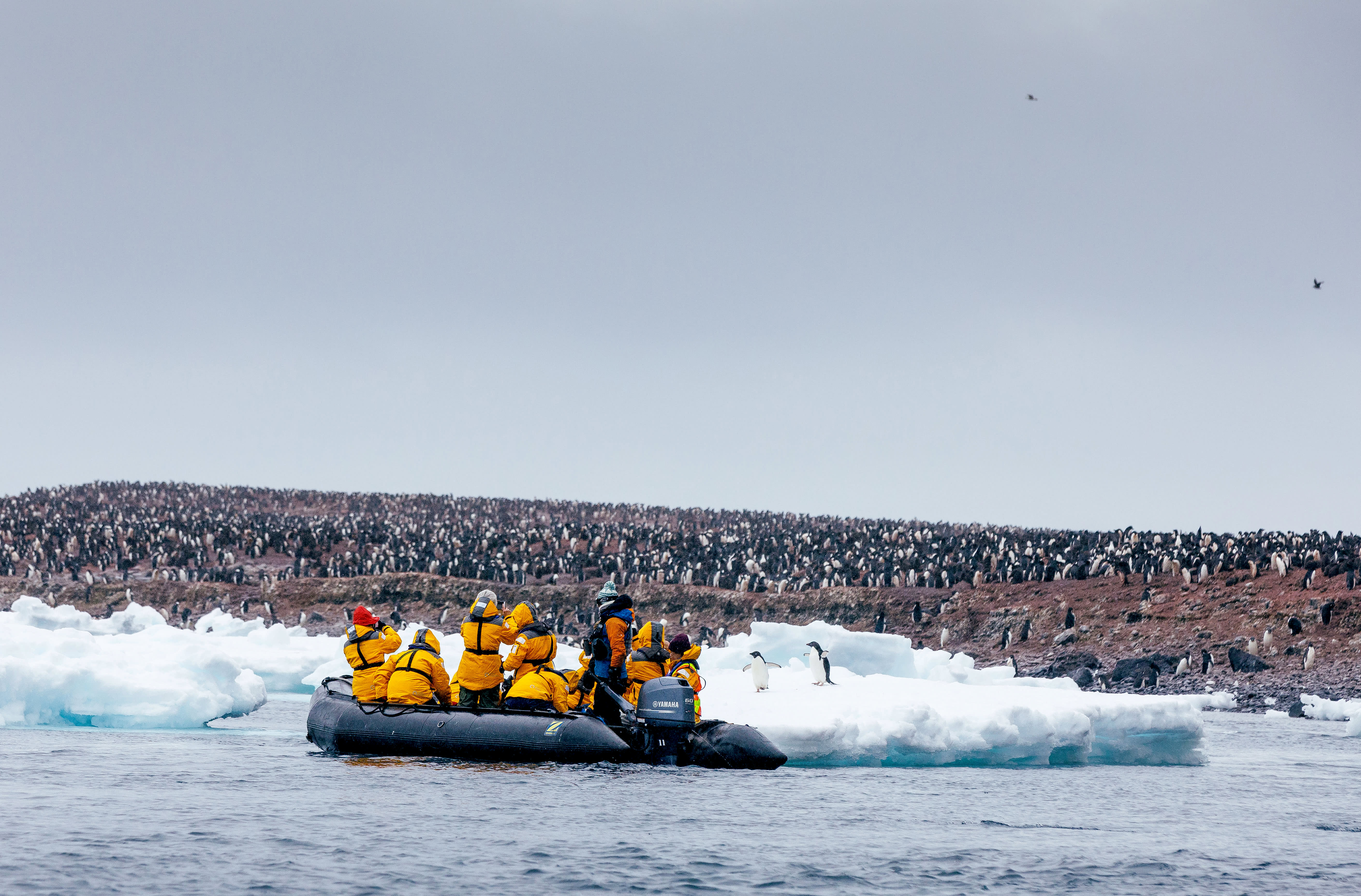 passengers on a zodiac in antarctica