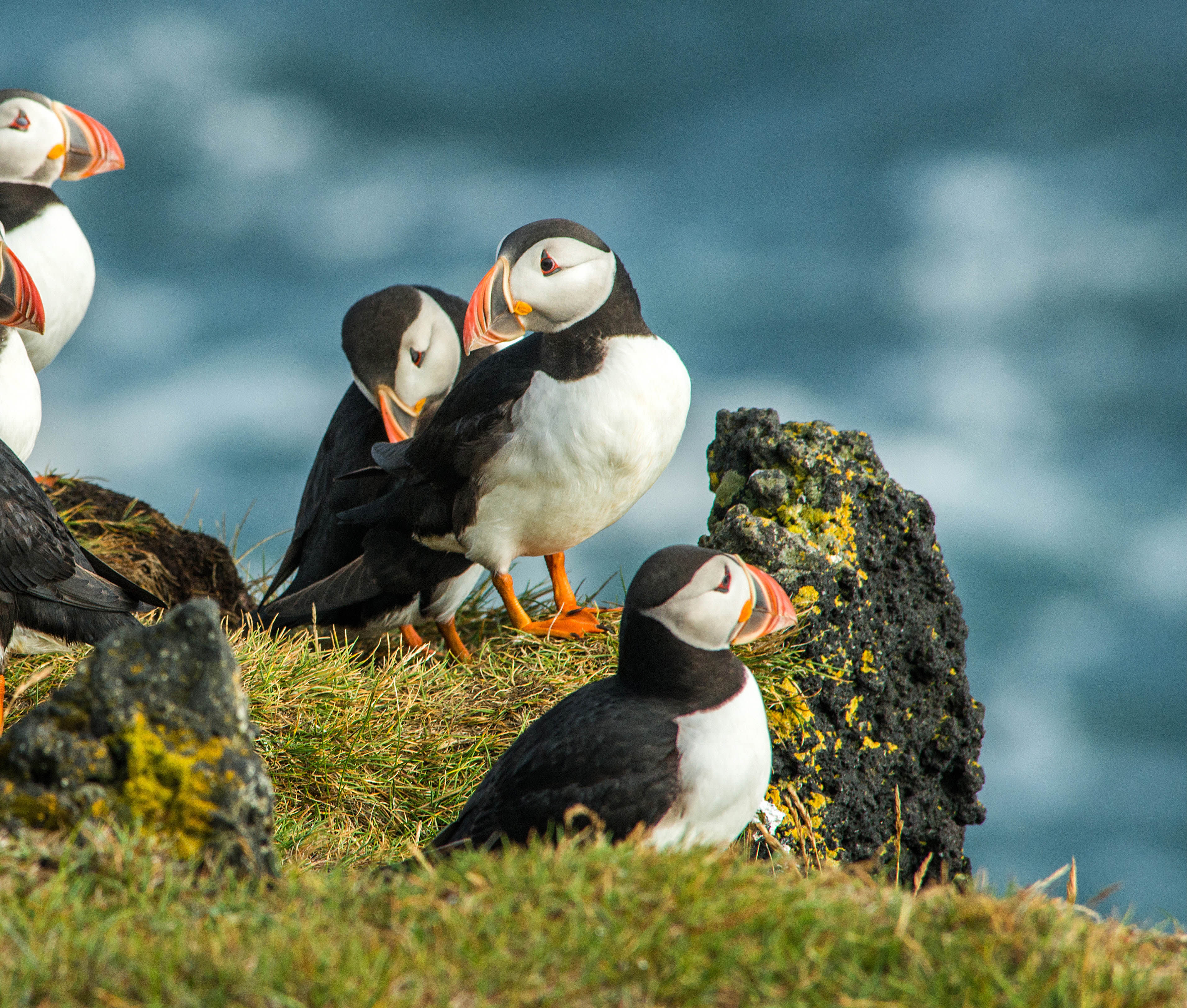 Iceland Circumnavigation: Mountains, Volcanoes and Waterfalls