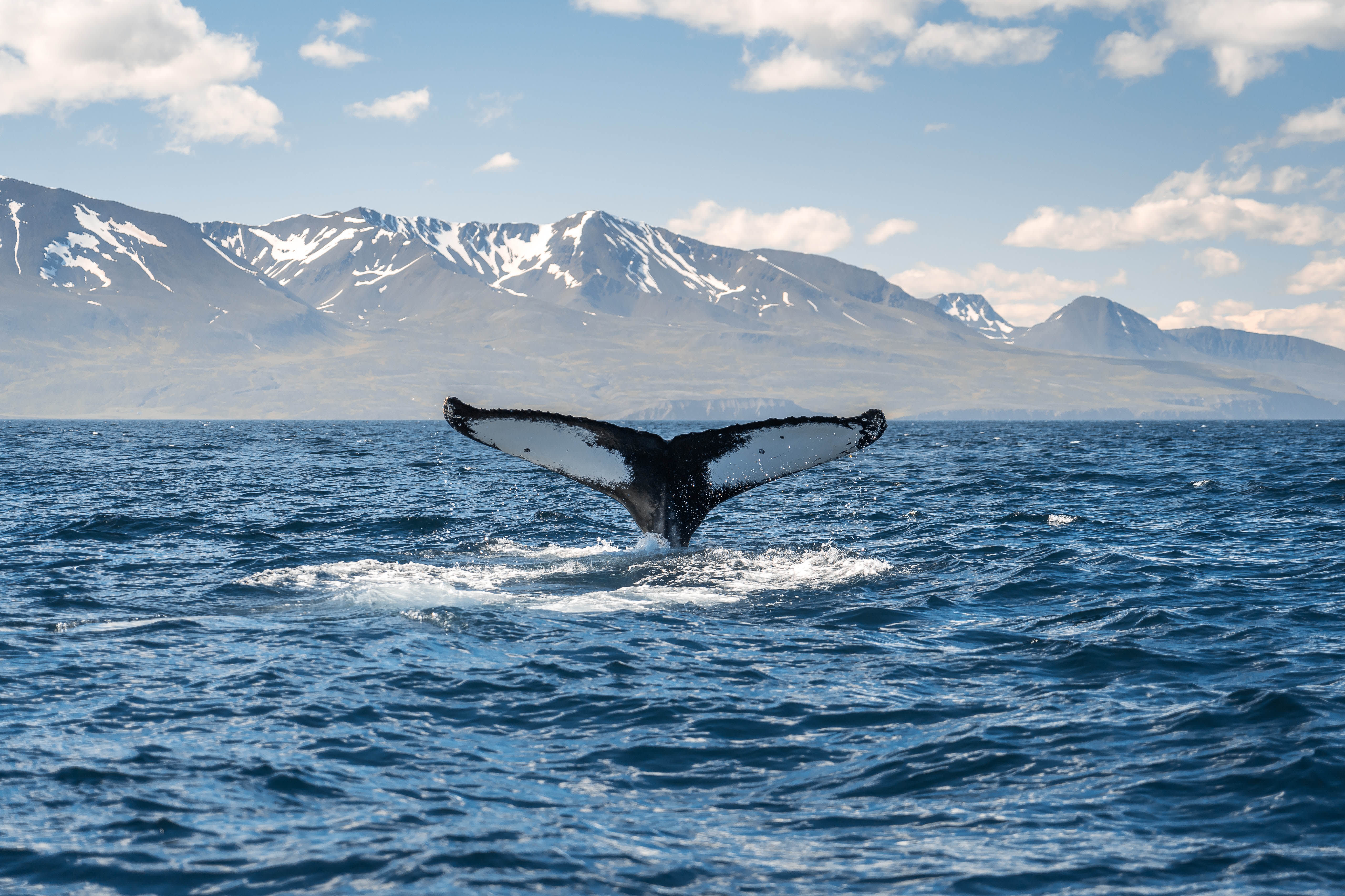 Iceland Circumnavigation: Mountains, Volcanoes and Waterfalls