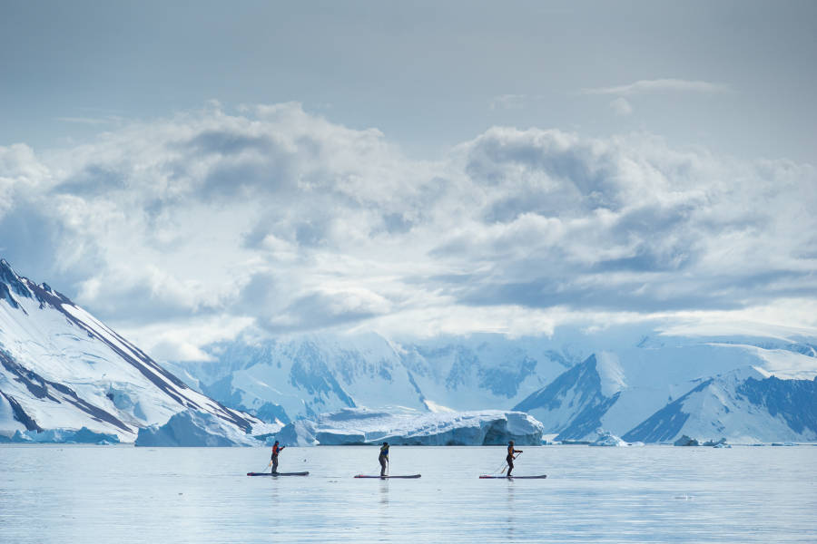Three guests on their standup paddleboards paddle through calm waters in Antarctica.