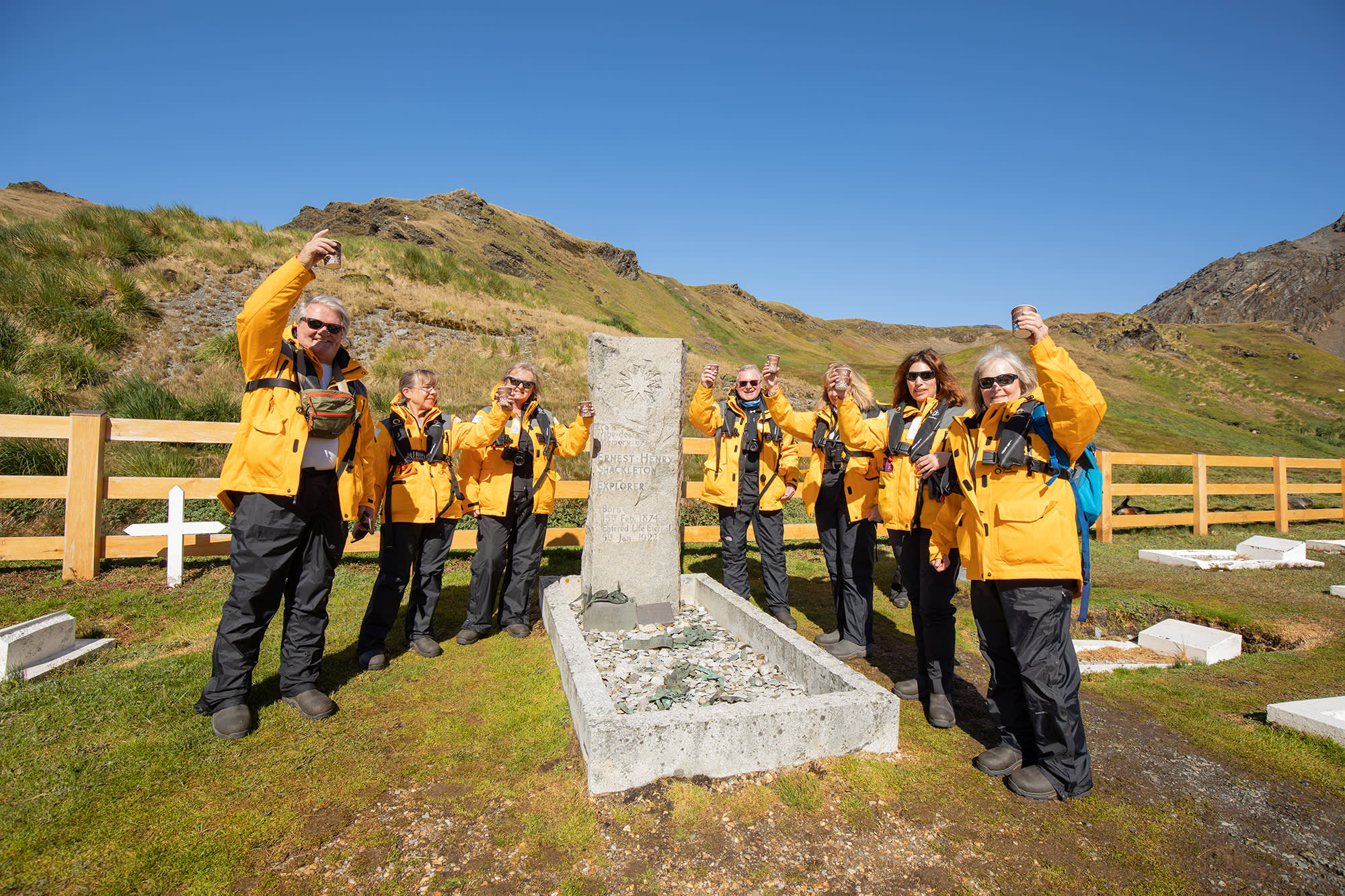 Penguins of the Far South: Falklands, South Georgia and Antarctica