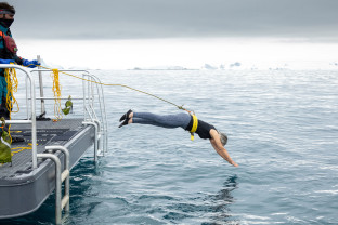 Polar_Plunge