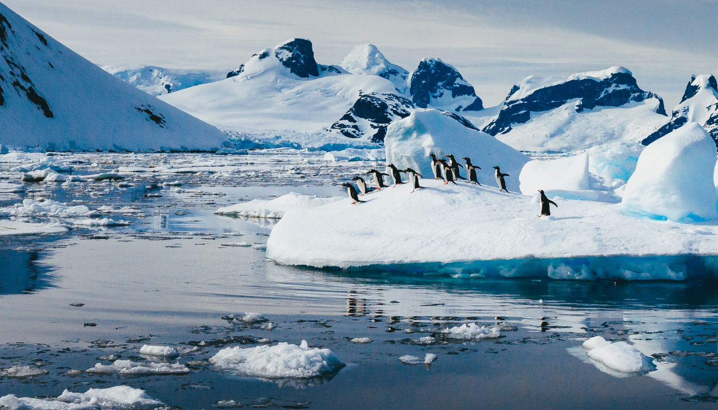 Penguins standing on a glacier in Antarctica