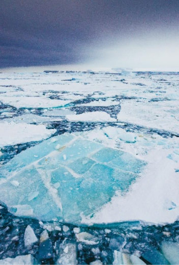 8 Days in Antarctica – The Journey of a Lifetime 